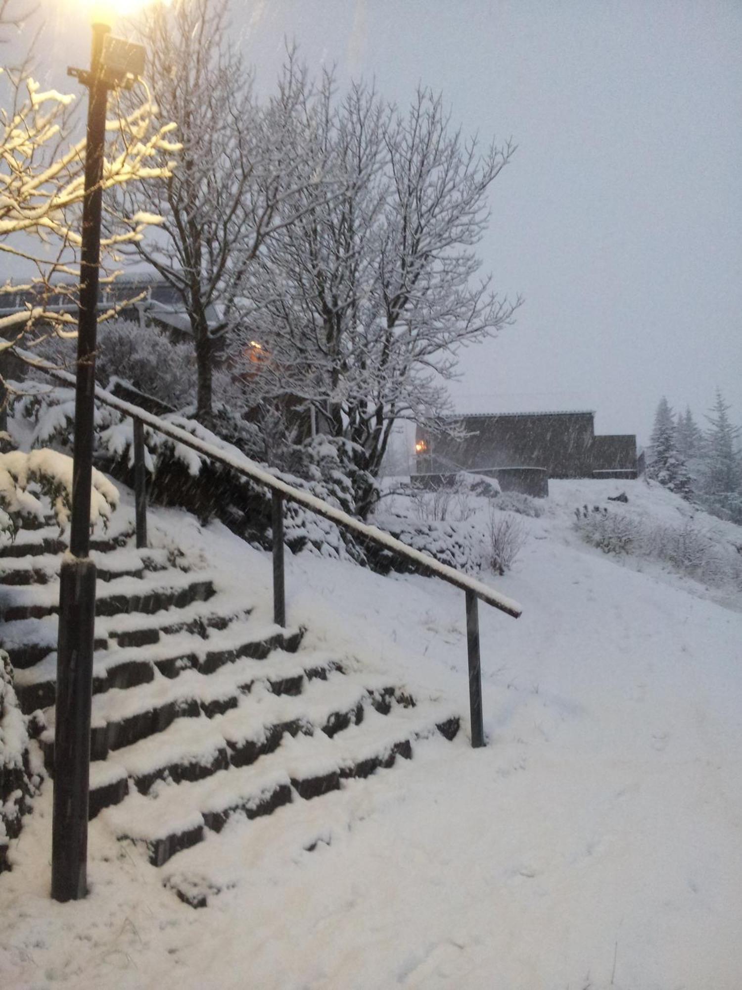 Frost And Fire Hotel Hveragerdi Dış mekan fotoğraf